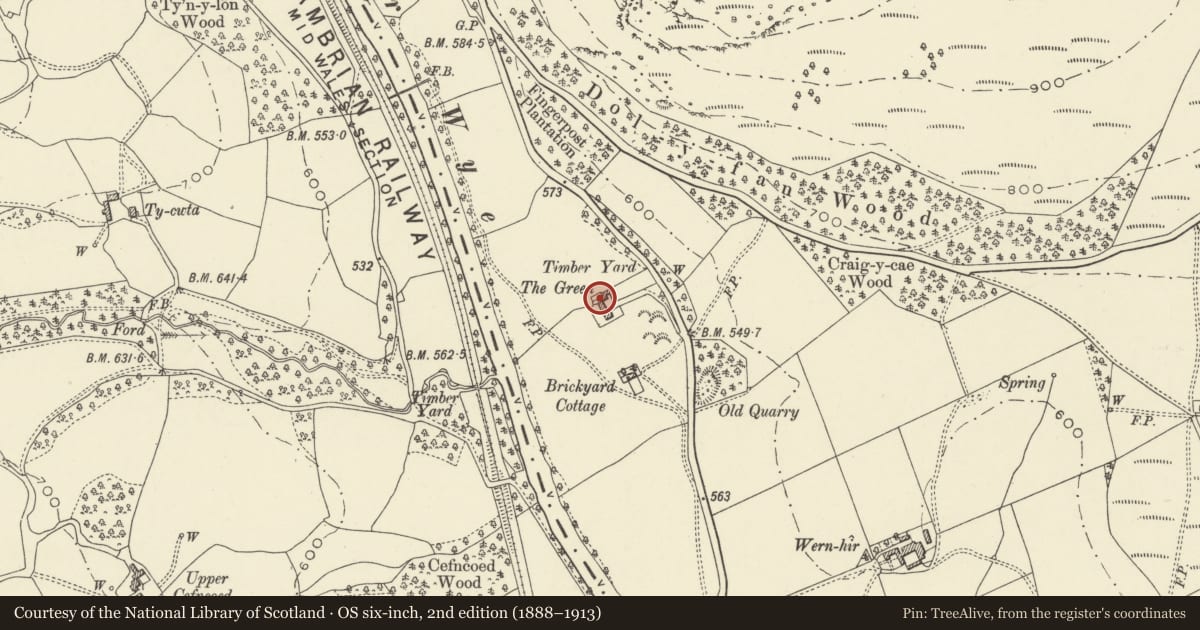 Ordnance Survey six-inch map, 2nd edition (1888–1913) covering the location of The Green, including attached former sawmill and farm buildings, Llanyre, Powys, with a pin at the register's coordinates