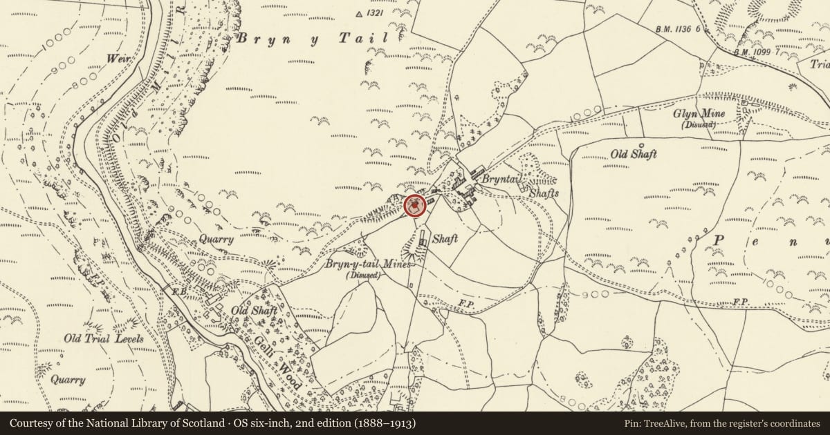 Ordnance Survey six-inch map, 2nd edition (1888–1913) covering the location of Bryntail Cottage, Llanidloes Without, Powys, with a pin at the register's coordinates