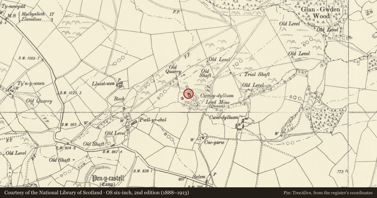 Ordnance Survey six-inch map, 2nd edition (1888–1913) covering the location of Chimney Stack NW of Cwm dylluan, Llanidloes Without, Powys, with a pin at the register's coordinates