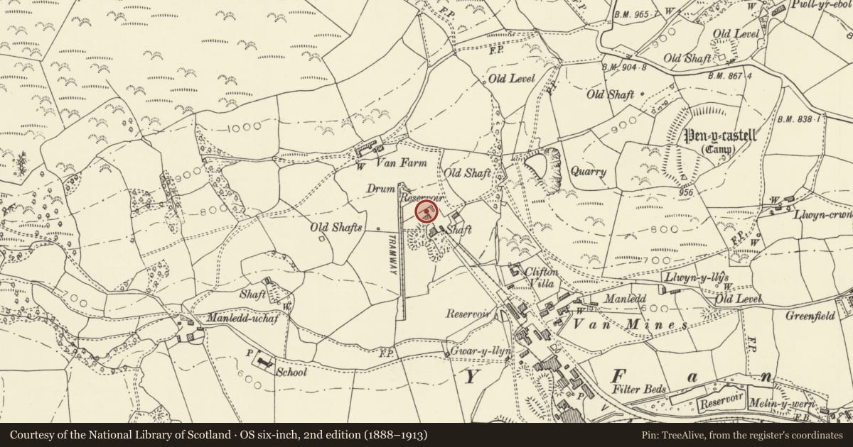 Ordnance Survey six-inch map, 2nd edition (1888–1913) covering the location of Chimney Stack W of Brynlludw, Llanidloes Without, Powys, with a pin at the register's coordinates
