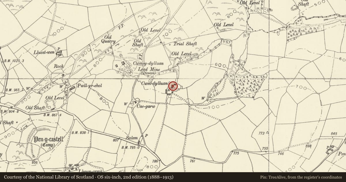 Ordnance Survey six-inch map, 2nd edition (1888–1913) covering the location of Cwm dylluan, Llanidloes Without, Powys, with a pin at the register's coordinates