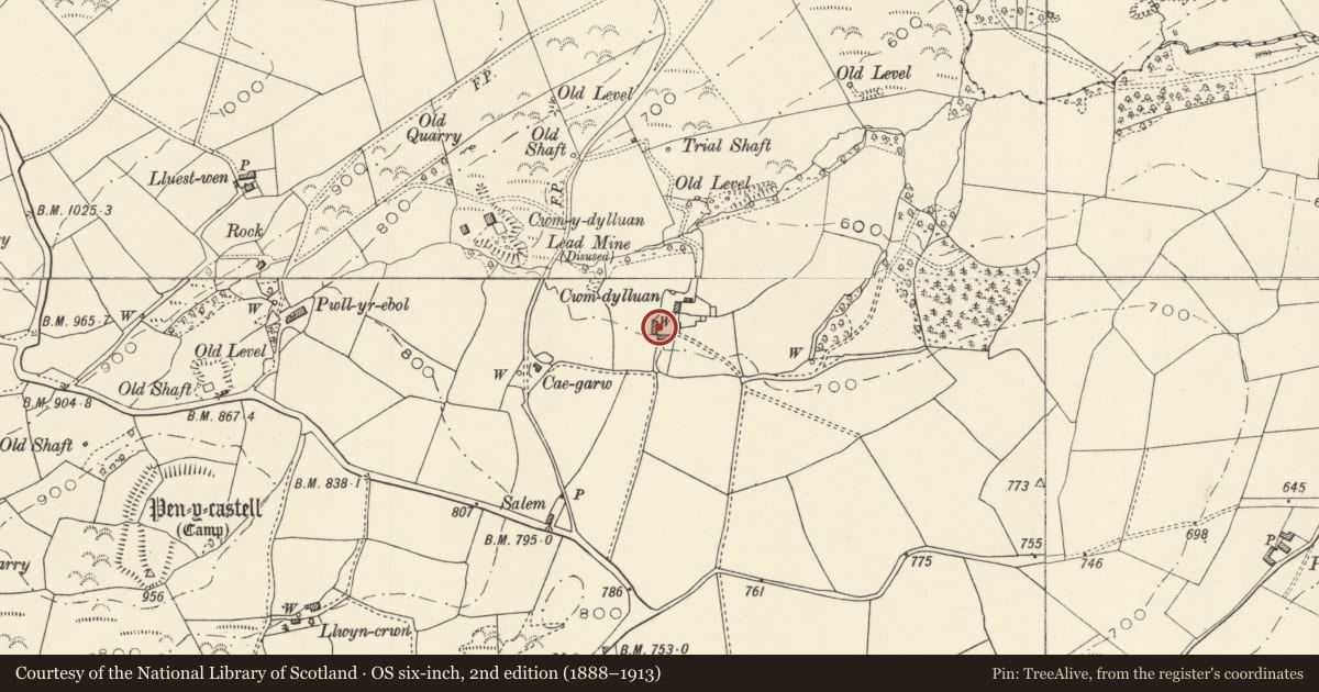 Ordnance Survey six-inch map, 2nd edition (1888–1913) covering the location of Farm Ranges at Cwm dylluan, Llanidloes Without, Powys, with a pin at the register's coordinates