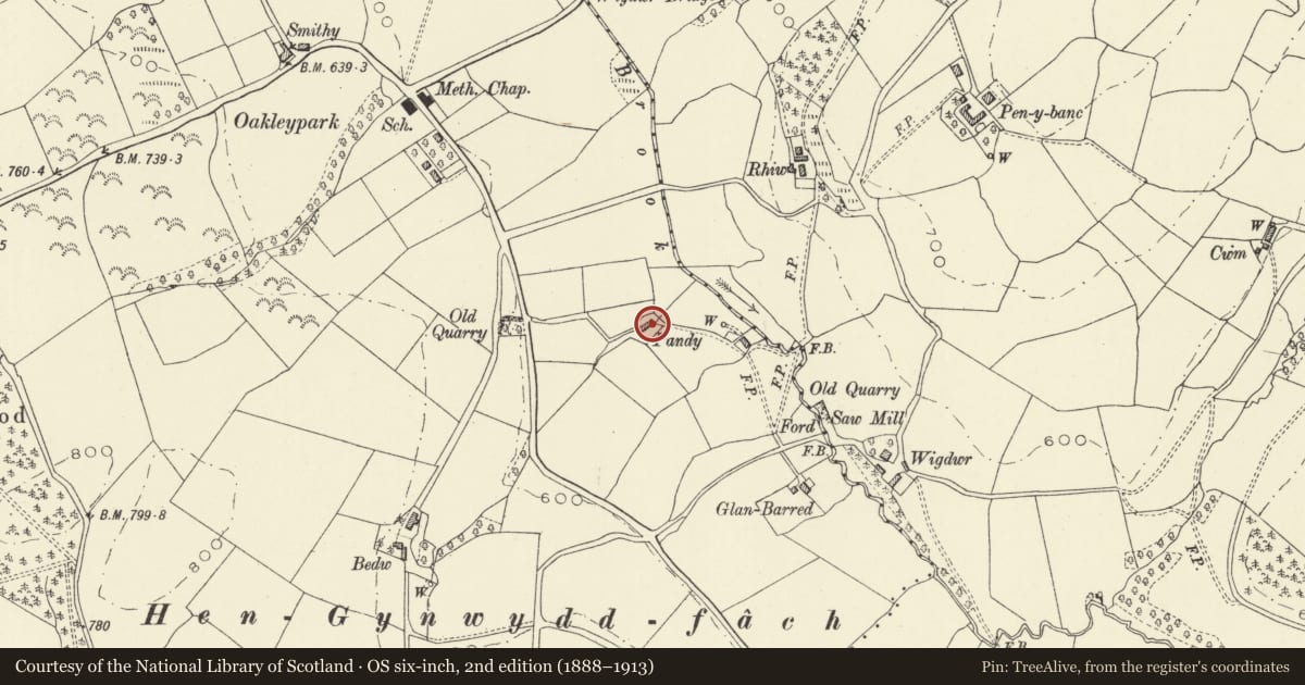 Ordnance Survey six-inch map, 2nd edition (1888–1913) covering the location of Pwllpridd, Llanidloes Without, Powys, with a pin at the register's coordinates