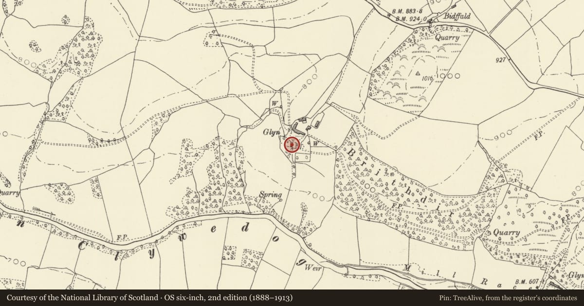Ordnance Survey six-inch map, 2nd edition (1888–1913) covering the location of Stable and Cart-shed at Glyn Clywedog, Llanidloes Without, Powys, with a pin at the register's coordinates