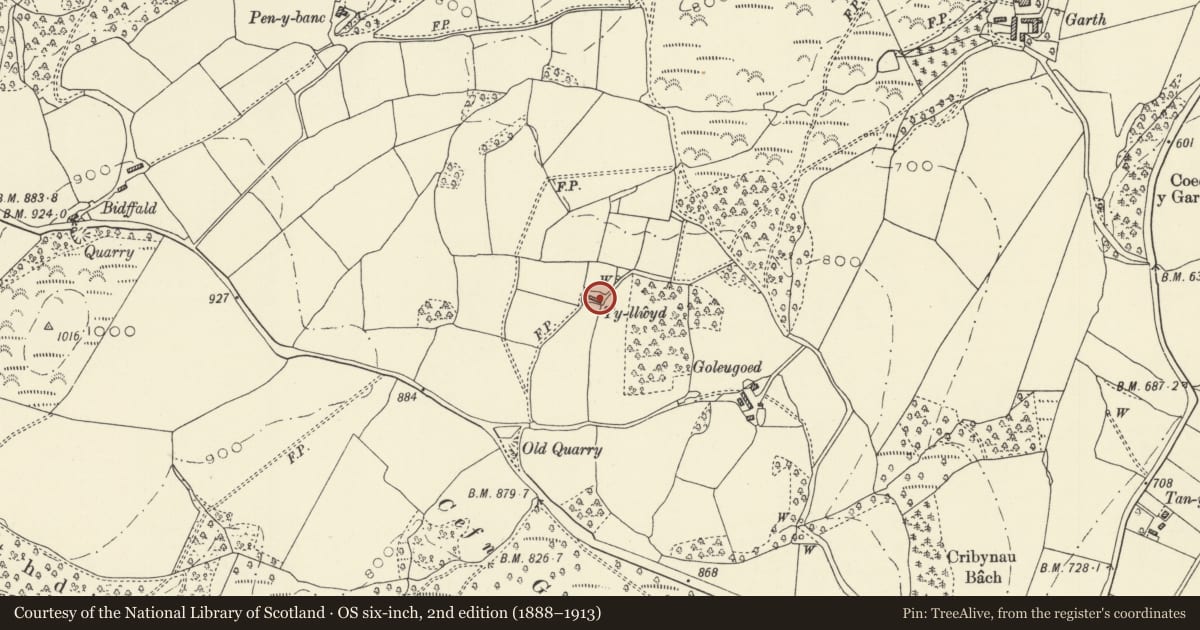 Ordnance Survey six-inch map, 2nd edition (1888–1913) covering the location of Ty Llwyd, Llanidloes Without, Powys, with a pin at the register's coordinates