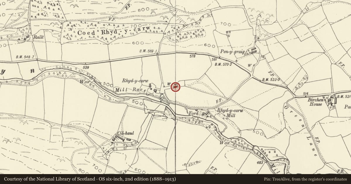 Ordnance Survey six-inch map, 2nd edition (1888–1913) covering the location of Barn at Rhyd y Carw, Trefeglwys, Powys, with a pin at the register's coordinates