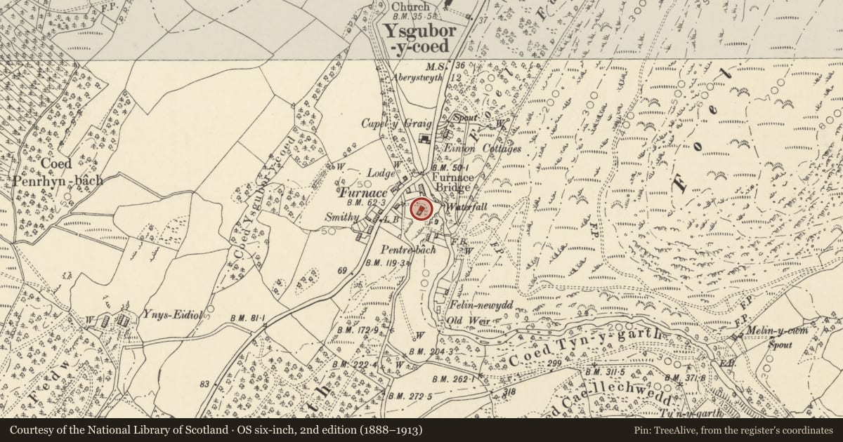 Ordnance Survey six-inch map, 2nd edition (1888–1913) covering the location of Barn above Dyfi Furnace, Ysgubor-y-Coed, Ceredigion, with a pin at the register's coordinates