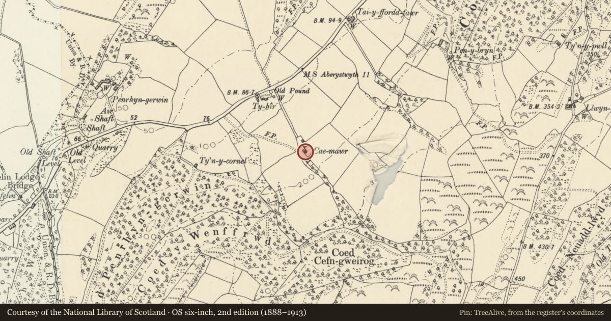 Ordnance Survey six-inch map, 2nd edition (1888–1913) covering the location of Cae Mawr, Ysgubor-y-Coed, Ceredigion, with a pin at the register's coordinates