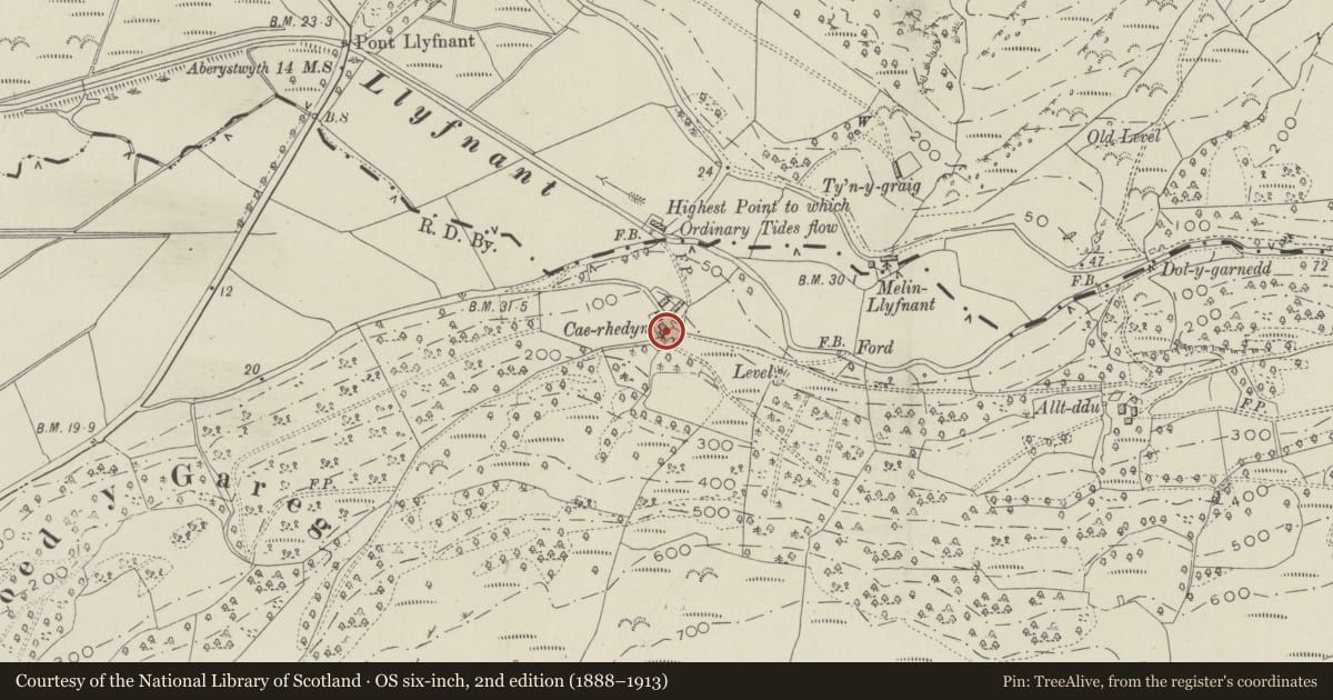 Ordnance Survey six-inch map, 2nd edition (1888–1913) covering the location of Caerhedyn, Ysgubor-y-Coed, Ceredigion, with a pin at the register's coordinates