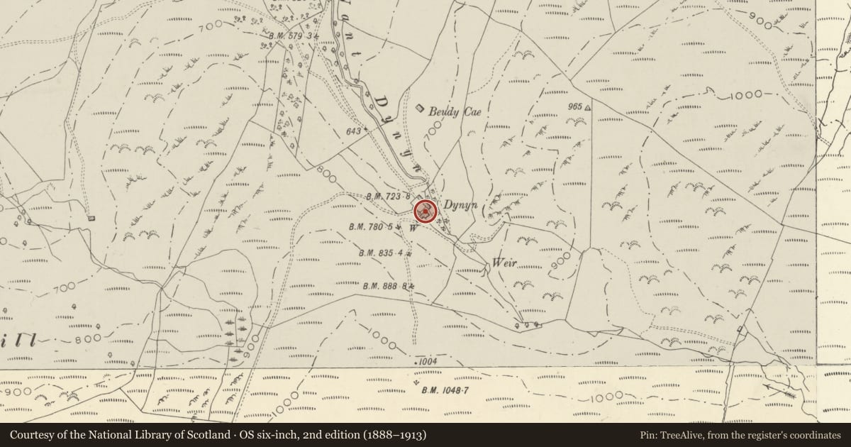 Ordnance Survey six-inch map, 2nd edition (1888–1913) covering the location of Dynyn, Ysgubor-y-Coed, Ceredigion, with a pin at the register's coordinates