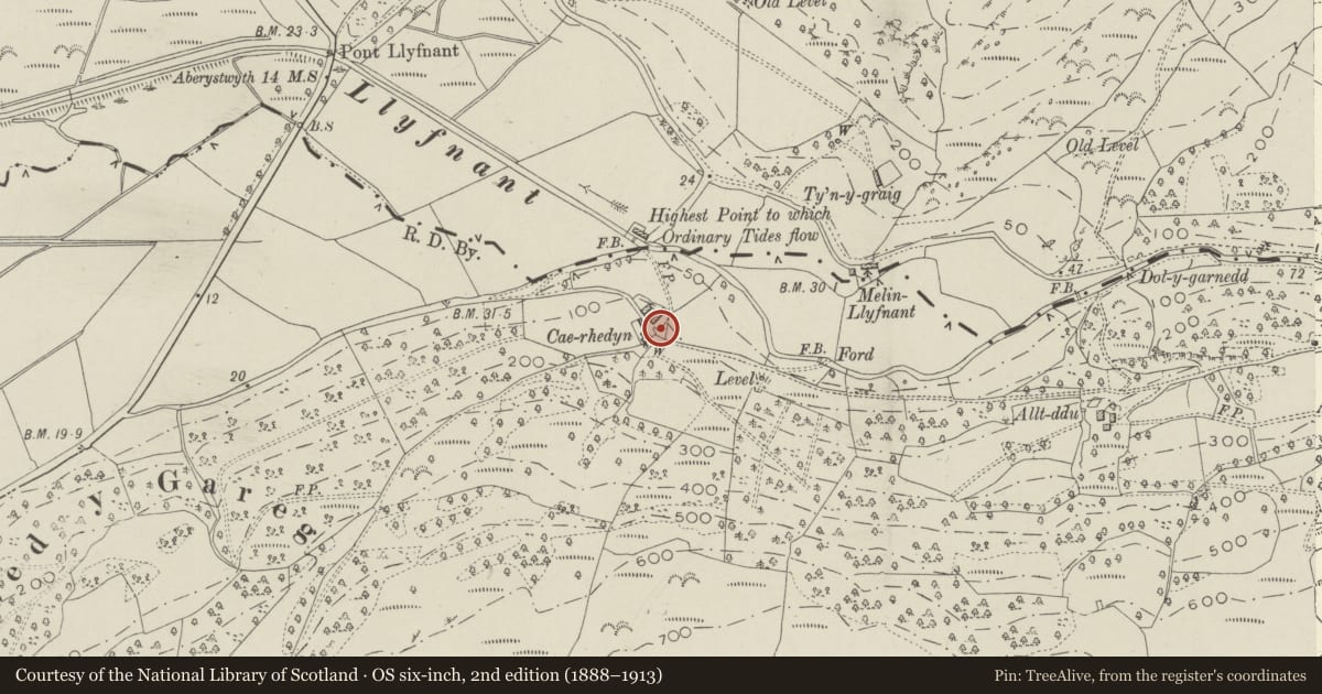 Ordnance Survey six-inch map, 2nd edition (1888–1913) covering the location of East range of outbuildings at Caerhedyn, Ysgubor-y-Coed, Ceredigion, with a pin at the register's coordinates