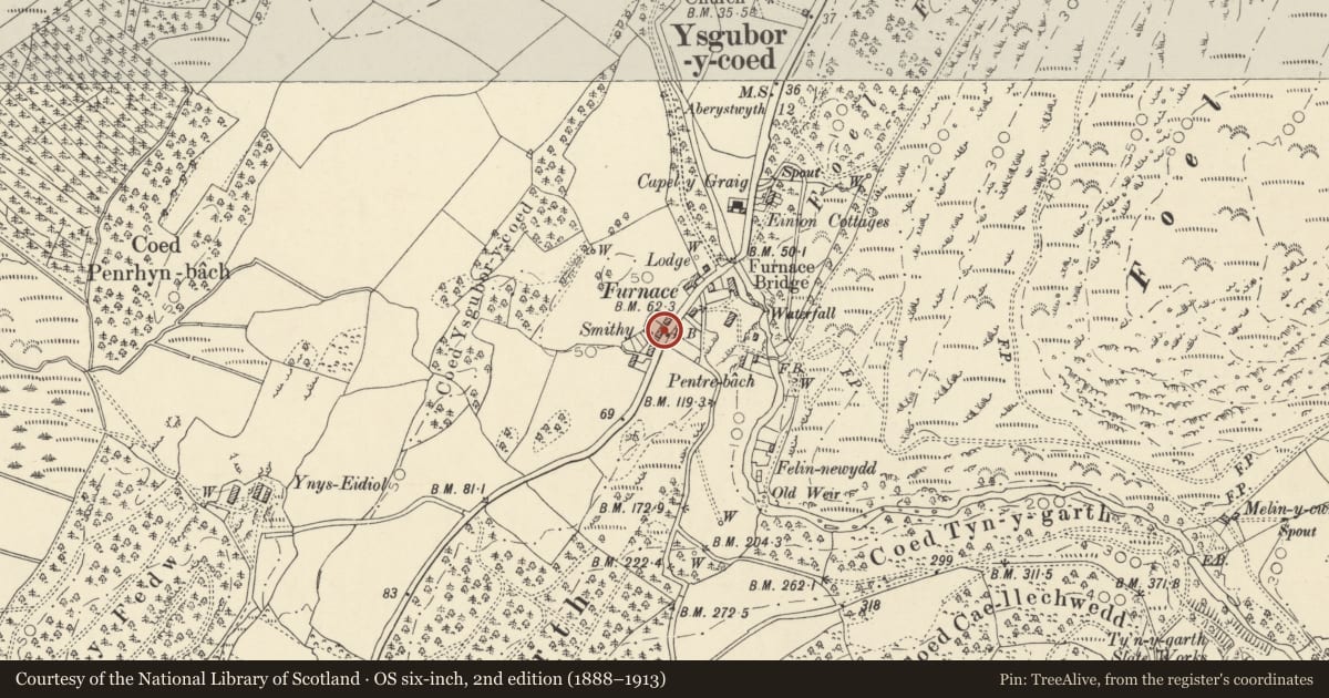 Ordnance Survey six-inch map, 2nd edition (1888–1913) covering the location of Einion Cottage, Ysgubor-y-Coed, Ceredigion, with a pin at the register's coordinates