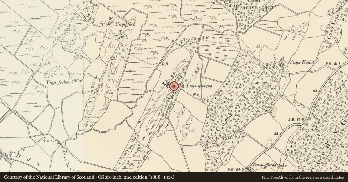 Ordnance Survey six-inch map, 2nd edition (1888–1913) covering the location of Farm building at Ynys Greigiog, Ysgubor-y-Coed, Ceredigion, with a pin at the register's coordinates