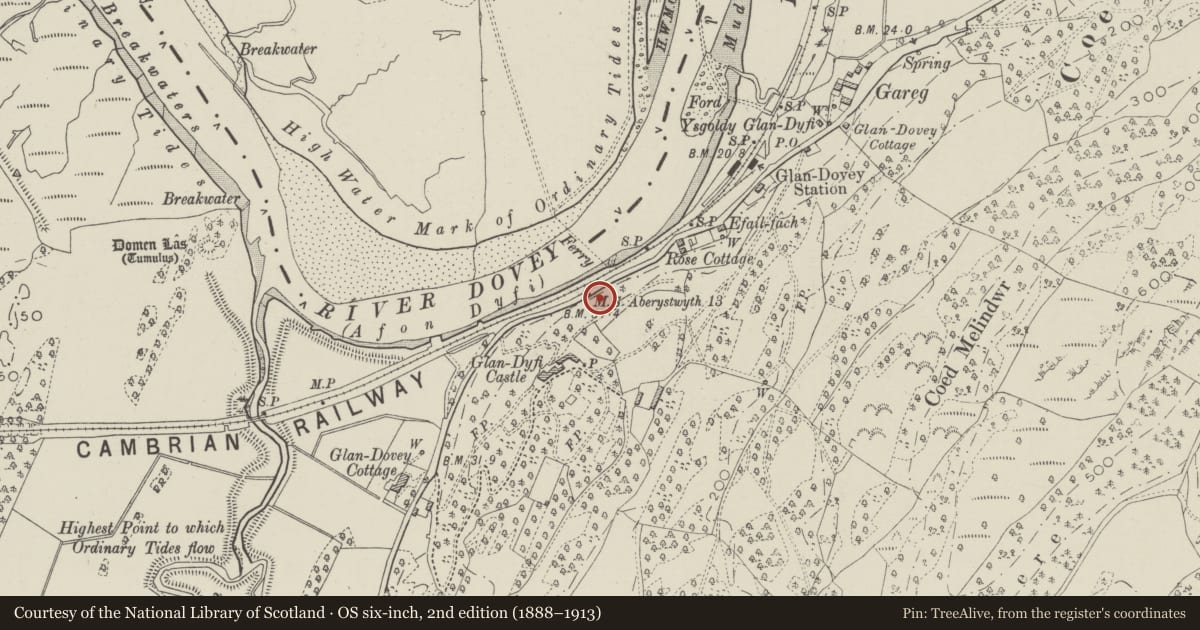 Ordnance Survey six-inch map, 2nd edition (1888–1913) covering the location of Milestone W of Park Terrace, Ysgubor-y-Coed, Ceredigion, with a pin at the register's coordinates