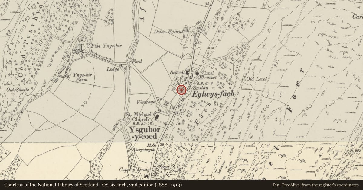 Ordnance Survey six-inch map, 2nd edition (1888–1913) covering the location of Plas Mawr, Ysgubor-y-Coed, Ceredigion, with a pin at the register's coordinates