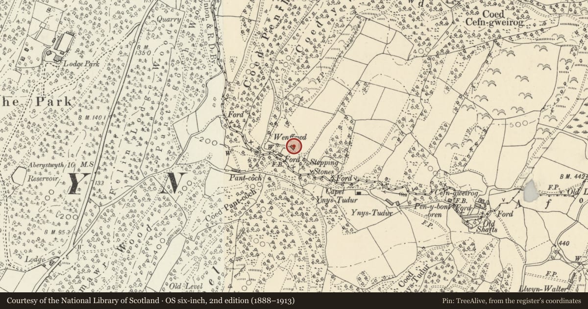 Ordnance Survey six-inch map, 2nd edition (1888–1913) covering the location of Wenffrwd, Ysgubor-y-Coed, Ceredigion, with a pin at the register's coordinates