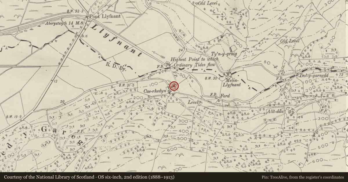 Ordnance Survey six-inch map, 2nd edition (1888–1913) covering the location of West range of outbuildings at Caerhedyn, Ysgubor-y-Coed, Ceredigion, with a pin at the register's coordinates
