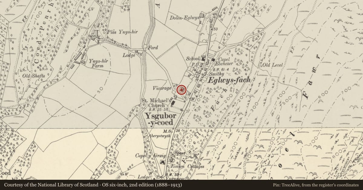 Ordnance Survey six-inch map, 2nd edition (1888–1913) covering the location of Ynys Einion, Ysgubor-y-Coed, Ceredigion, with a pin at the register's coordinates