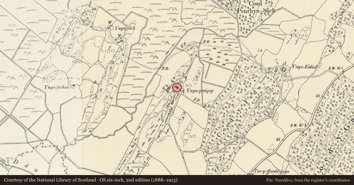 Ordnance Survey six-inch map, 2nd edition (1888–1913) covering the location of Ynys Greigiog, Ysgubor-y-Coed, Ceredigion, with a pin at the register's coordinates