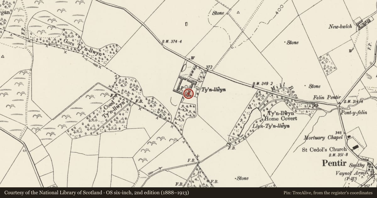 Ordnance Survey six-inch map, 2nd edition (1888–1913) covering the location of Ty'n Llwyn Farm - Cattle Sheds at SE of Yard, Pentir, Gwynedd, with a pin at the register's coordinates
