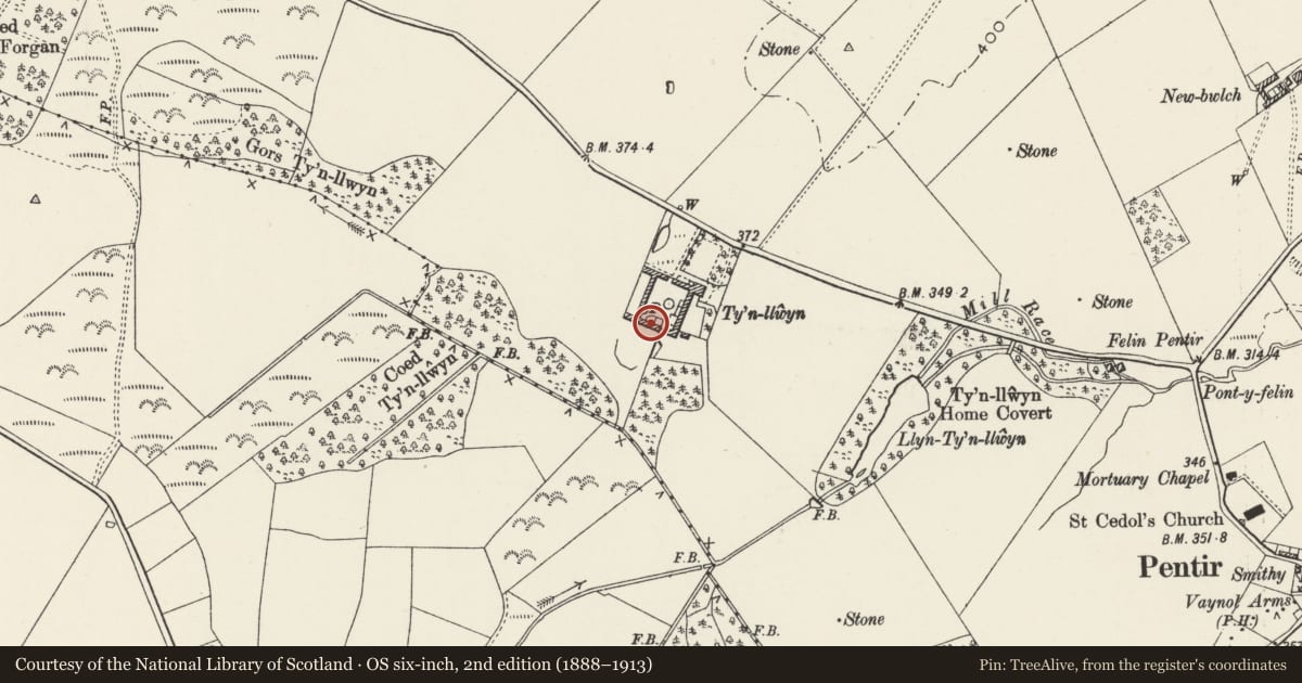 Ordnance Survey six-inch map, 2nd edition (1888–1913) covering the location of Ty'n Llwyn Farm - Cattle Sheds at S of Yard, Pentir, Gwynedd, with a pin at the register's coordinates