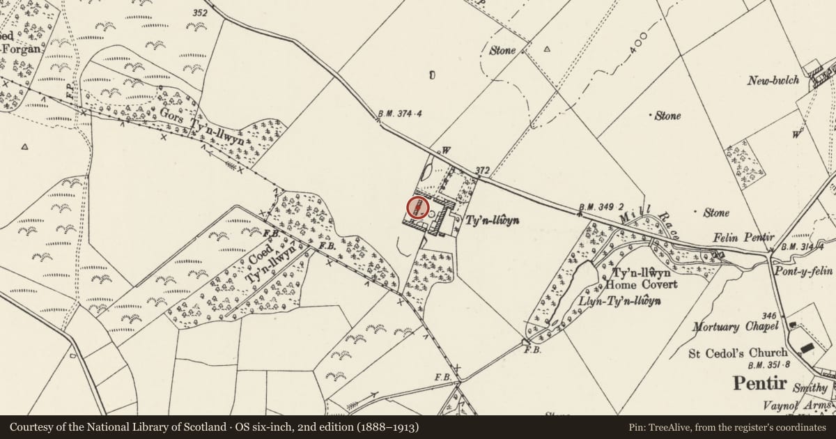 Ordnance Survey six-inch map, 2nd edition (1888–1913) covering the location of Ty'n Llwyn - Barn and Cowhouse at W of Yard, Pentir, Gwynedd, with a pin at the register's coordinates