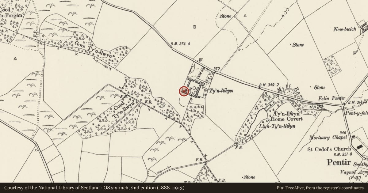 Ordnance Survey six-inch map, 2nd edition (1888–1913) covering the location of Ty'n Llwyn Farm - Barn outside yard to SW, Pentir, Gwynedd, with a pin at the register's coordinates
