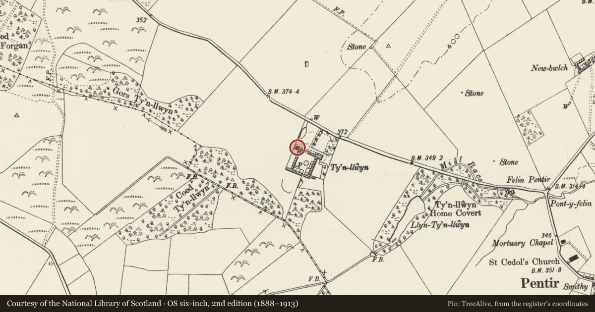 Ordnance Survey six-inch map, 2nd edition (1888–1913) covering the location of Ty'n Llwyn Farm - Hay Barn outside Yard to NW, Pentir, Gwynedd, with a pin at the register's coordinates