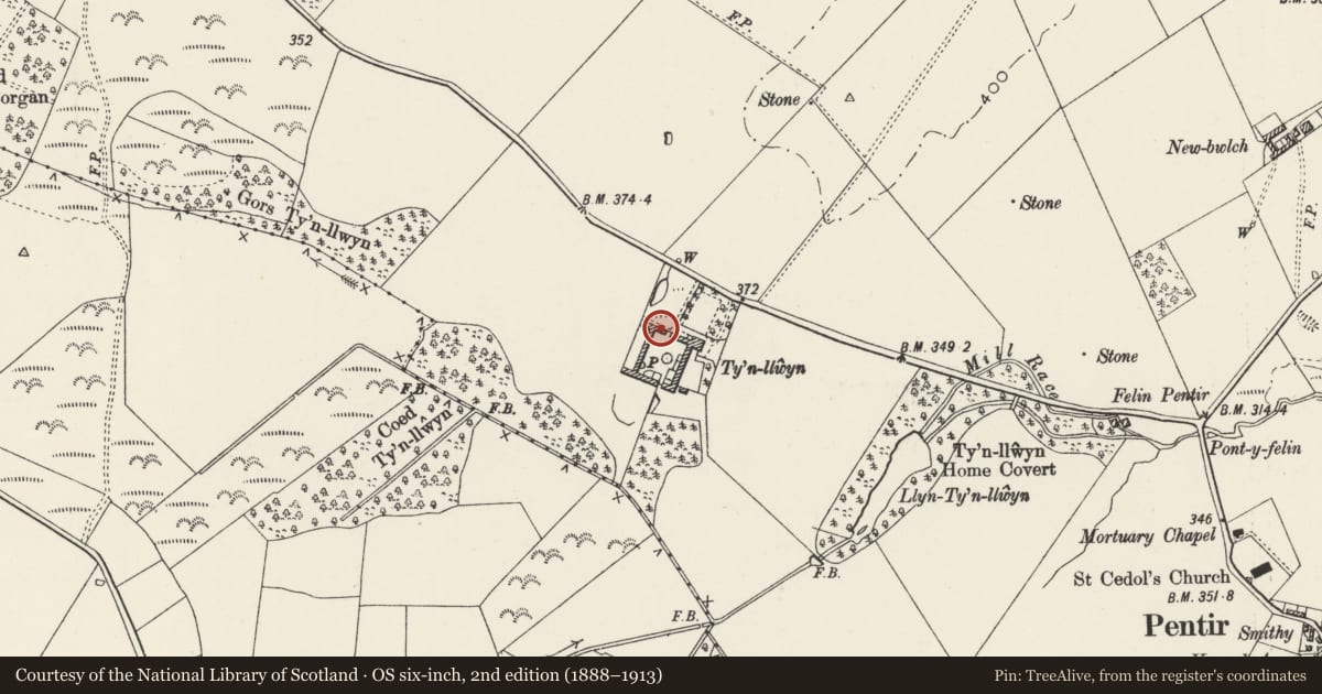 Ordnance Survey six-inch map, 2nd edition (1888–1913) covering the location of Ty'n Llwyn Farm - NW range of Yard, Pentir, Gwynedd, with a pin at the register's coordinates