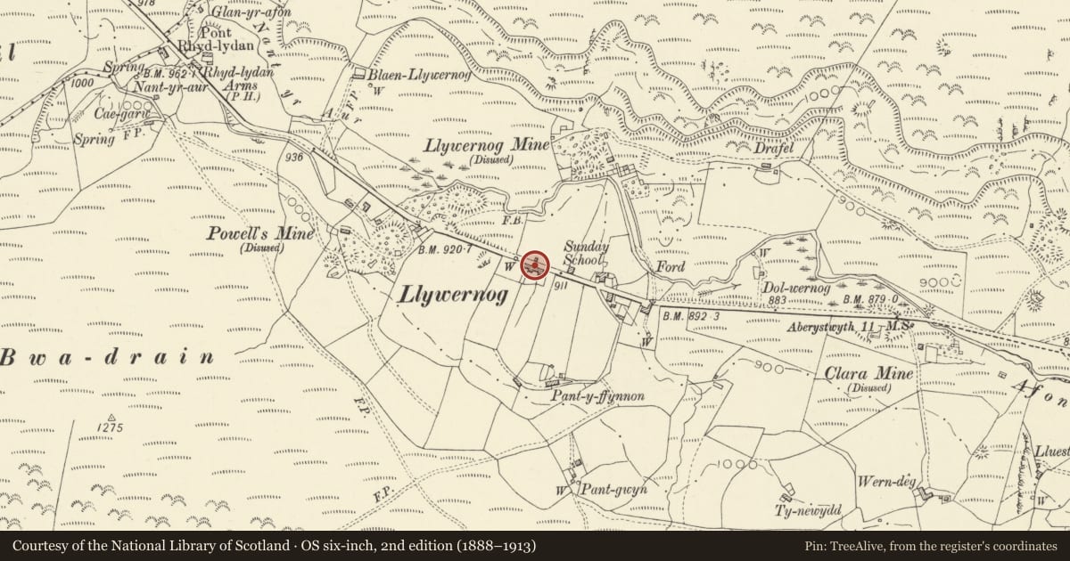 Ordnance Survey six-inch map, 2nd edition (1888–1913) covering the location of Afallen, Blaenrheidol, Ceredigion, with a pin at the register's coordinates