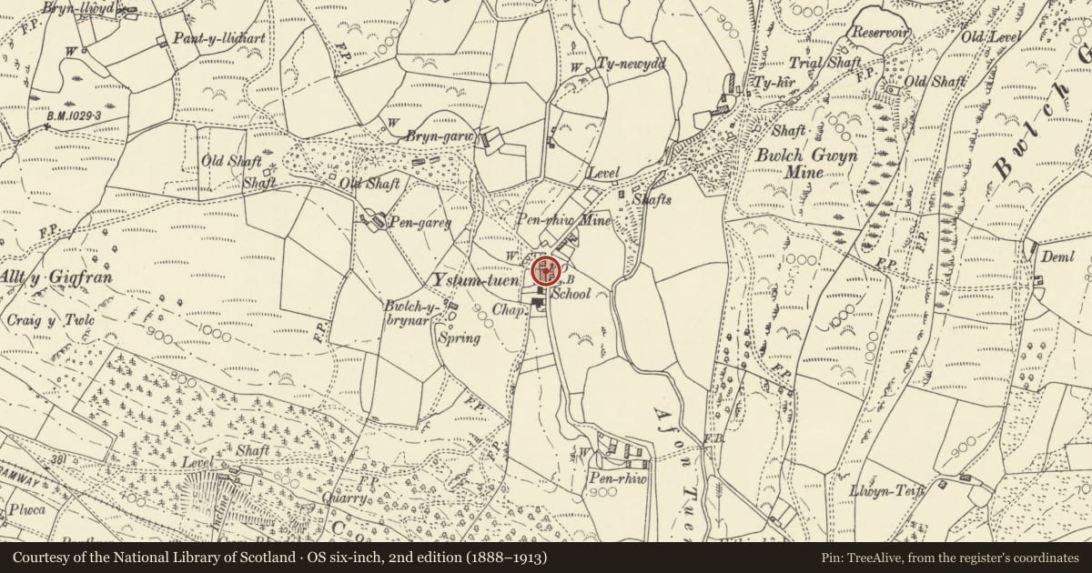 Ordnance Survey six-inch map, 2nd edition (1888–1913) covering the location of Bwthyn y Wawr, Blaenrheidol, Ceredigion, with a pin at the register's coordinates
