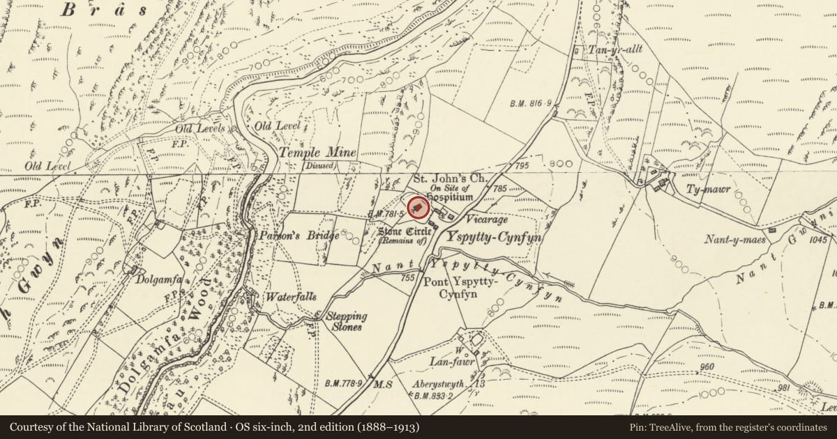Ordnance Survey six-inch map, 2nd edition (1888–1913) covering the location of Church of St John the Baptist, Blaenrheidol, Ceredigion, with a pin at the register's coordinates
