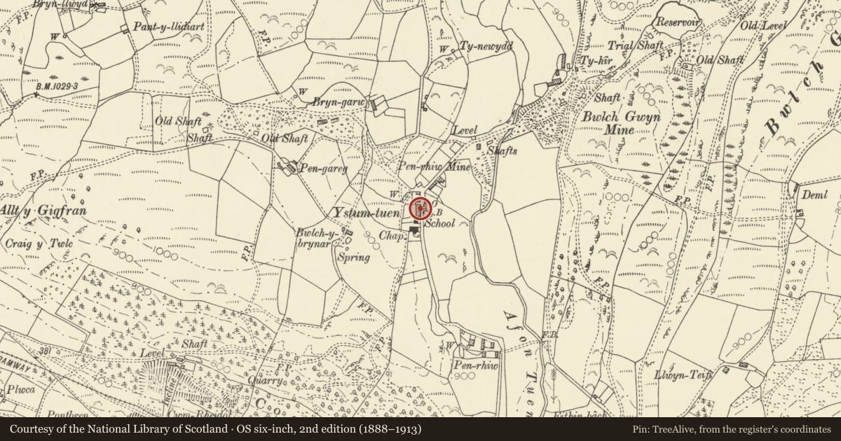 Ordnance Survey six-inch map, 2nd edition (1888–1913) covering the location of Clydfan, Blaenrheidol, Ceredigion, with a pin at the register's coordinates
