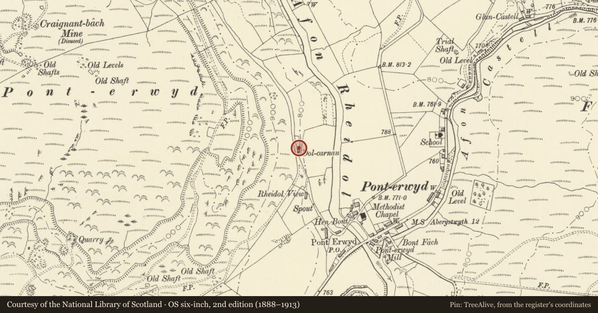 Ordnance Survey six-inch map, 2nd edition (1888–1913) covering the location of Dolcarne, Blaenrheidol, Ceredigion, with a pin at the register's coordinates