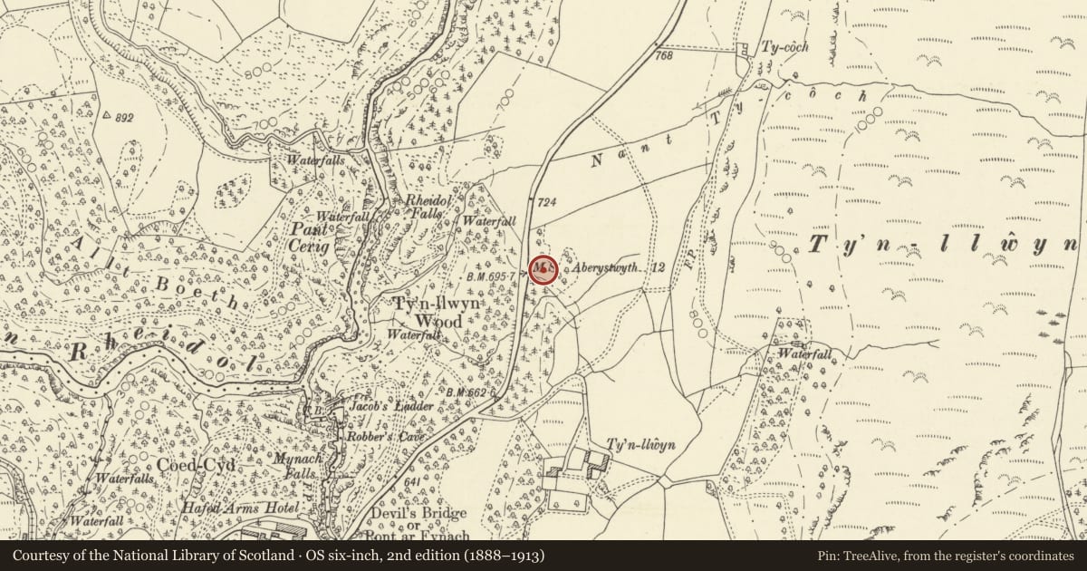 Ordnance Survey six-inch map, 2nd edition (1888–1913) covering the location of Milestone on A4120 N of Devil's Bridge, Blaenrheidol, Ceredigion, with a pin at the register's coordinates