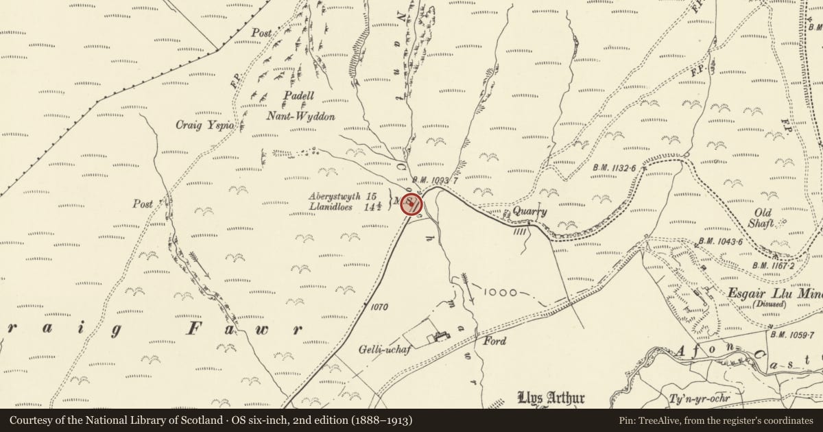 Ordnance Survey six-inch map, 2nd edition (1888–1913) covering the location of Milestone on A44 NE of Dyffryn Castell, Blaenrheidol, Ceredigion, with a pin at the register's coordinates
