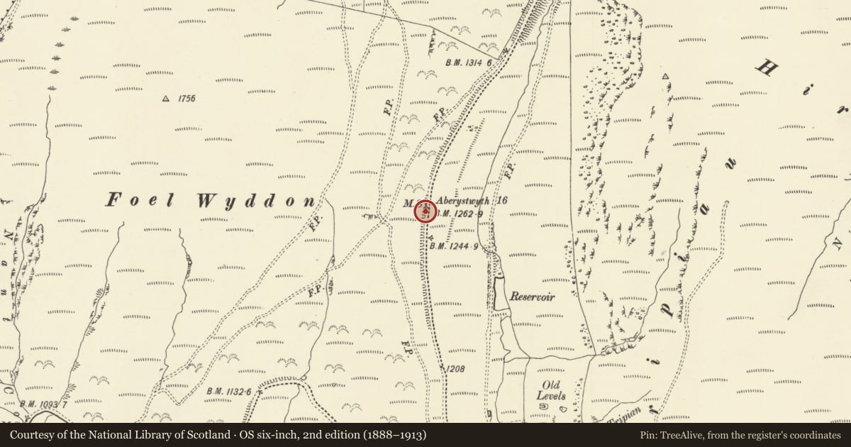 Ordnance Survey six-inch map, 2nd edition (1888–1913) covering the location of Milestone on A44 S of Eisteddfa Gurig, Blaenrheidol, Ceredigion, with a pin at the register's coordinates