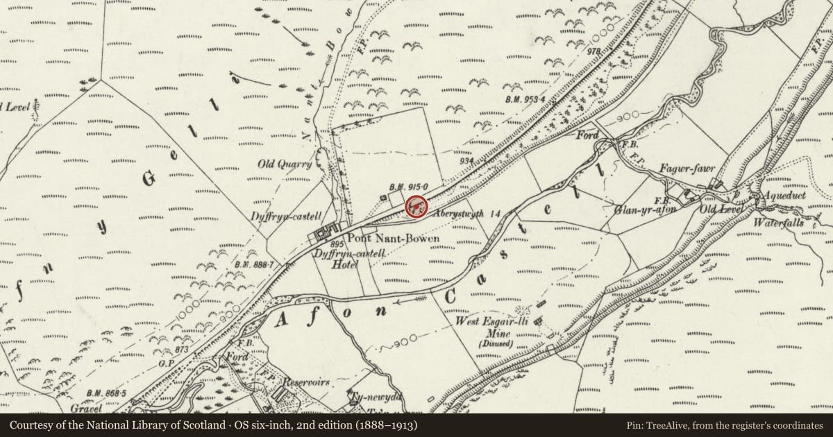 Ordnance Survey six-inch map, 2nd edition (1888–1913) covering the location of Milestone on A44, Blaenrheidol, Ceredigion, with a pin at the register's coordinates