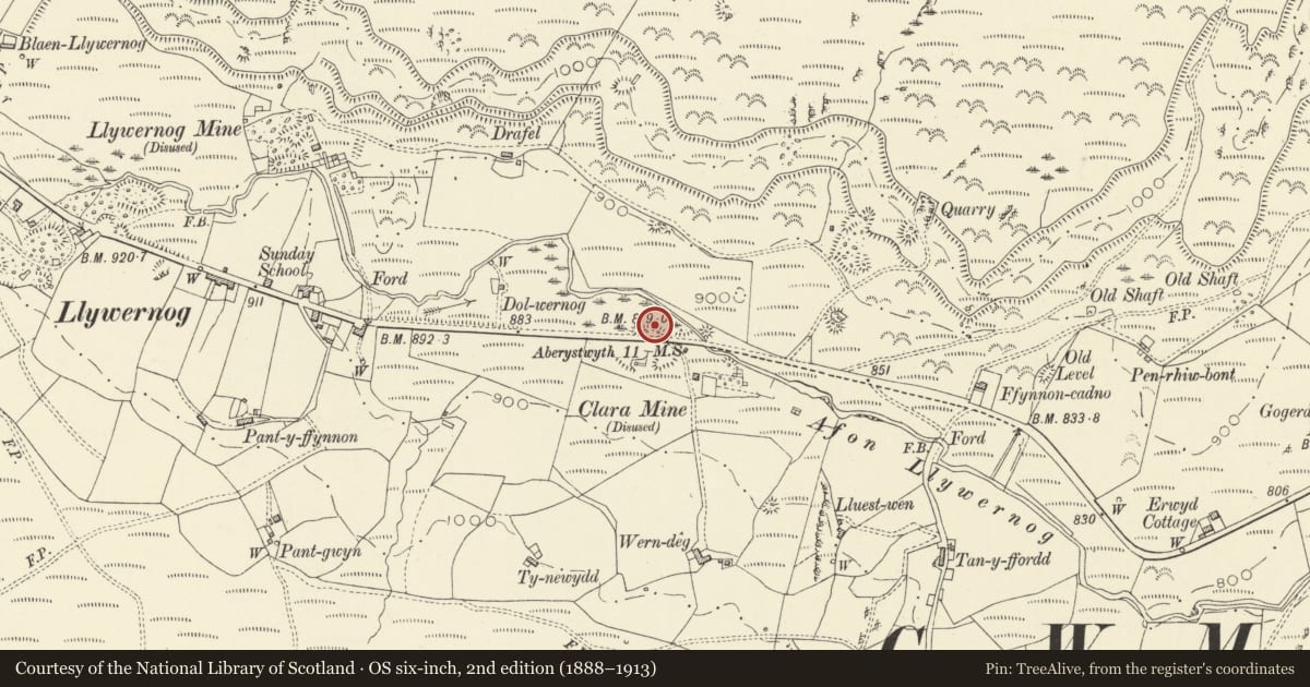 Ordnance Survey six-inch map, 2nd edition (1888–1913) covering the location of Milestone on A44, Blaenrheidol, Ceredigion, with a pin at the register's coordinates