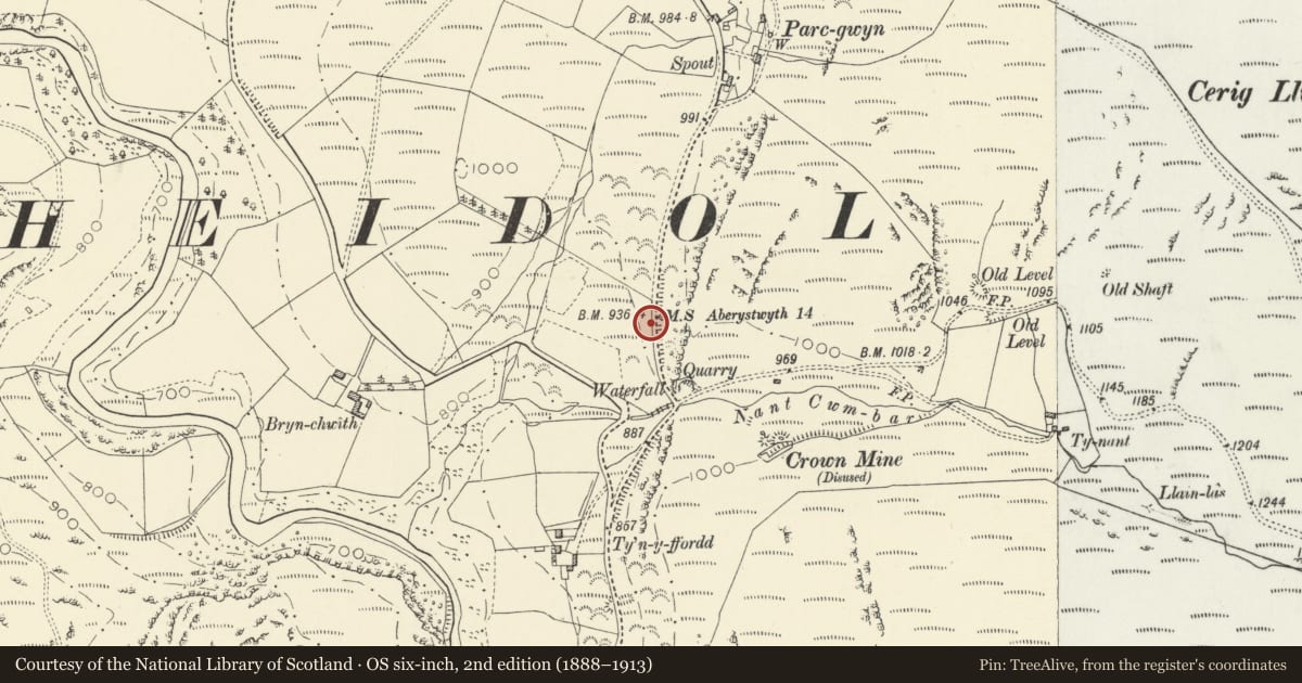 Ordnance Survey six-inch map, 2nd edition (1888–1913) covering the location of Milestone on B4343, Blaenrheidol, Ceredigion, with a pin at the register's coordinates