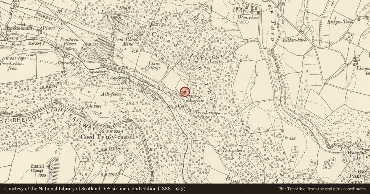 Ordnance Survey six-inch map, 2nd edition (1888–1913) covering the location of Pantyddwyriw, Blaenrheidol, Ceredigion, with a pin at the register's coordinates