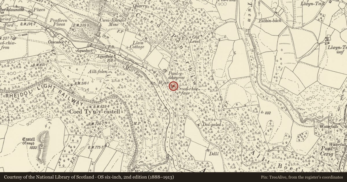 Ordnance Survey six-inch map, 2nd edition (1888–1913) covering the location of Troedrhiwfawr, Blaenrheidol, Ceredigion, with a pin at the register's coordinates