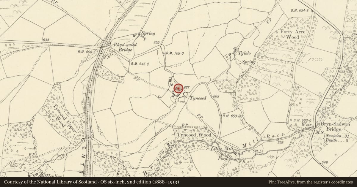 Ordnance Survey six-inch map, 2nd edition (1888–1913) covering the location of Barn and cow house at Tyncoed, Disserth and Trecoed, Powys, with a pin at the register's coordinates
