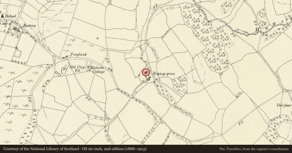 Ordnance Survey six-inch map, 2nd edition (1888–1913) covering the location of Bryn-y-groes, Disserth and Trecoed, Powys, with a pin at the register's coordinates