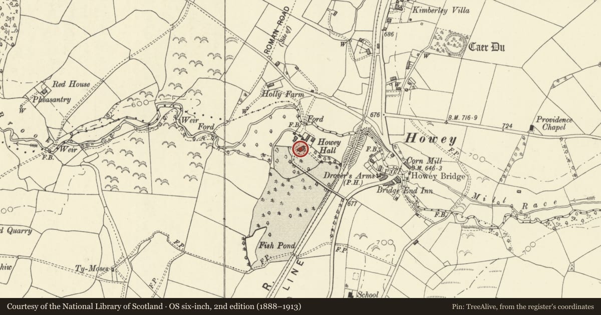 Ordnance Survey six-inch map, 2nd edition (1888–1913) covering the location of Howey Hall, Disserth and Trecoed, Powys, with a pin at the register's coordinates