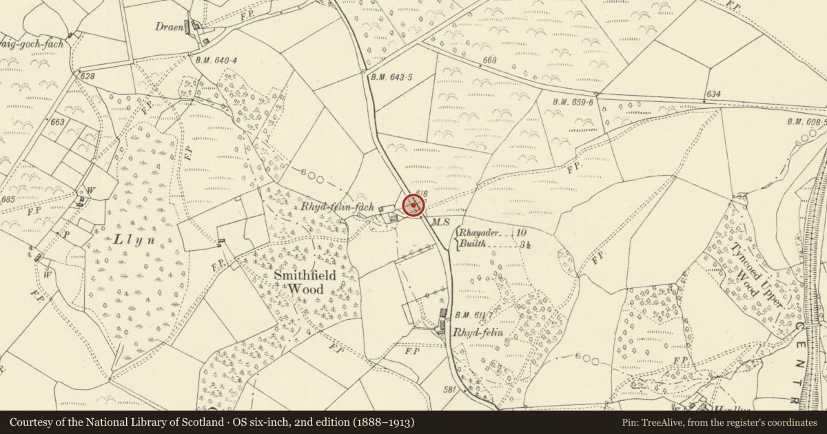 Ordnance Survey six-inch map, 2nd edition (1888–1913) covering the location of Milestone on A470, Disserth and Trecoed, Powys, with a pin at the register's coordinates