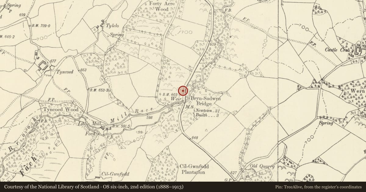 Ordnance Survey six-inch map, 2nd edition (1888–1913) covering the location of Milestone on A483, Disserth and Trecoed, Powys, with a pin at the register's coordinates