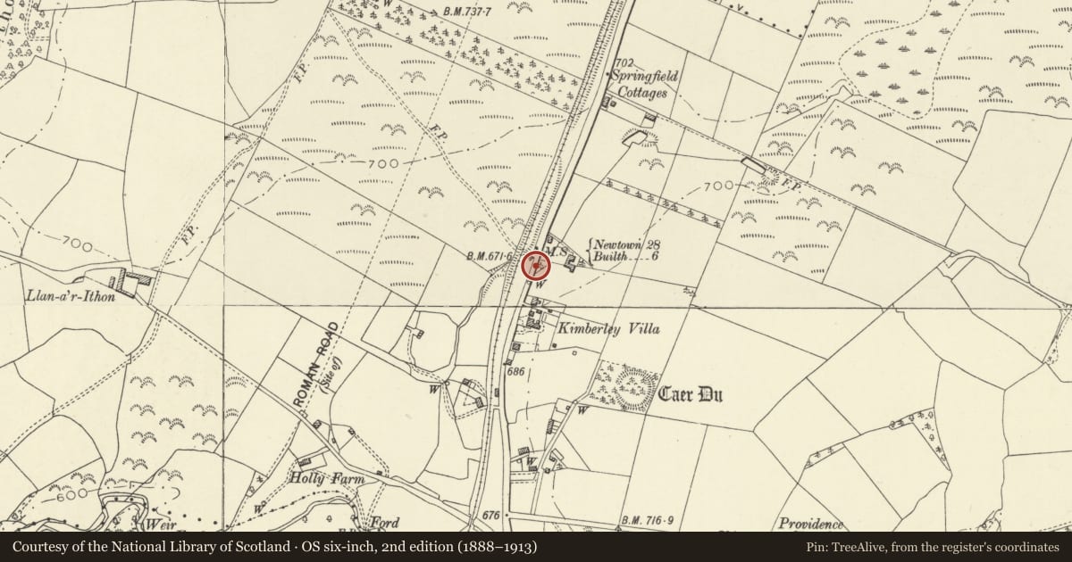 Ordnance Survey six-inch map, 2nd edition (1888–1913) covering the location of Milestone on A483, Disserth and Trecoed, Powys, with a pin at the register's coordinates