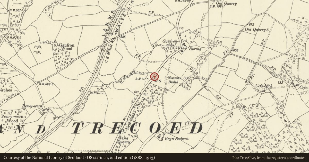 Ordnance Survey six-inch map, 2nd edition (1888–1913) covering the location of Pair of milestones on A483, Disserth and Trecoed, Powys, with a pin at the register's coordinates
