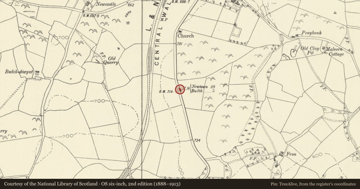 Ordnance Survey six-inch map, 2nd edition (1888–1913) covering the location of Pair of milestones on A483, Disserth and Trecoed, Powys, with a pin at the register's coordinates